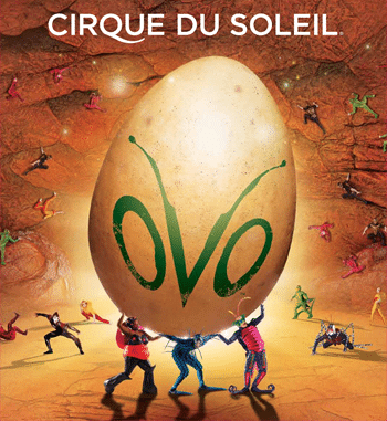 OVO - Cirque du Soleil