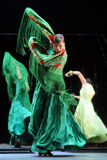 Flamenco Hoy. Image supplied.