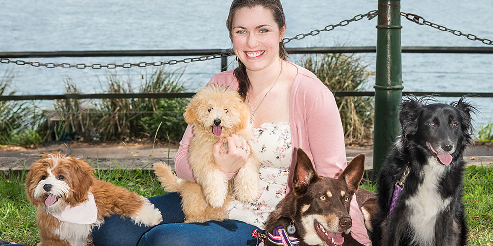 Casting Call For Doggy Divas On Sydney Harbour News